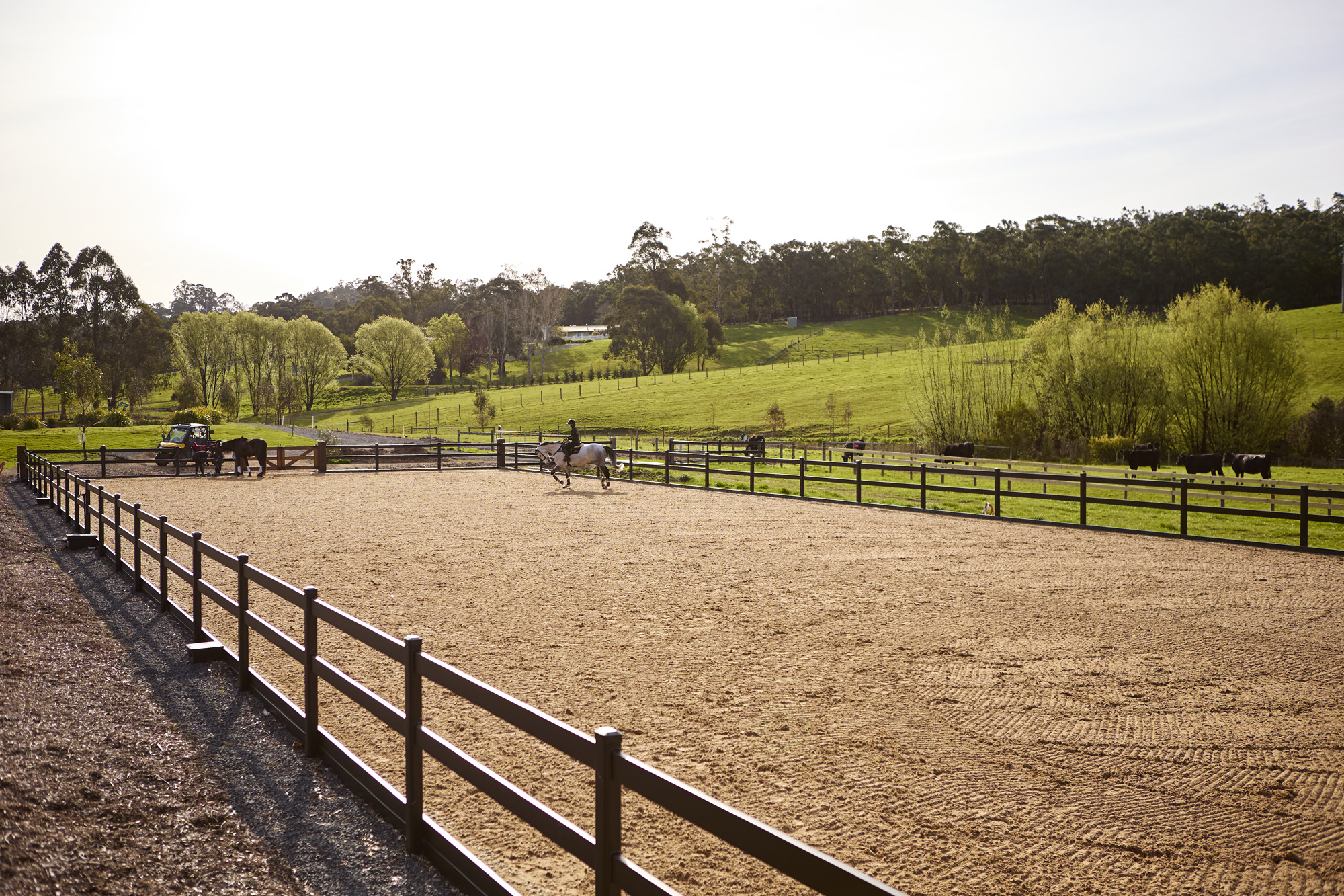 Denverzaun schwarz 2-Riegel: Die elegante Begrenzung