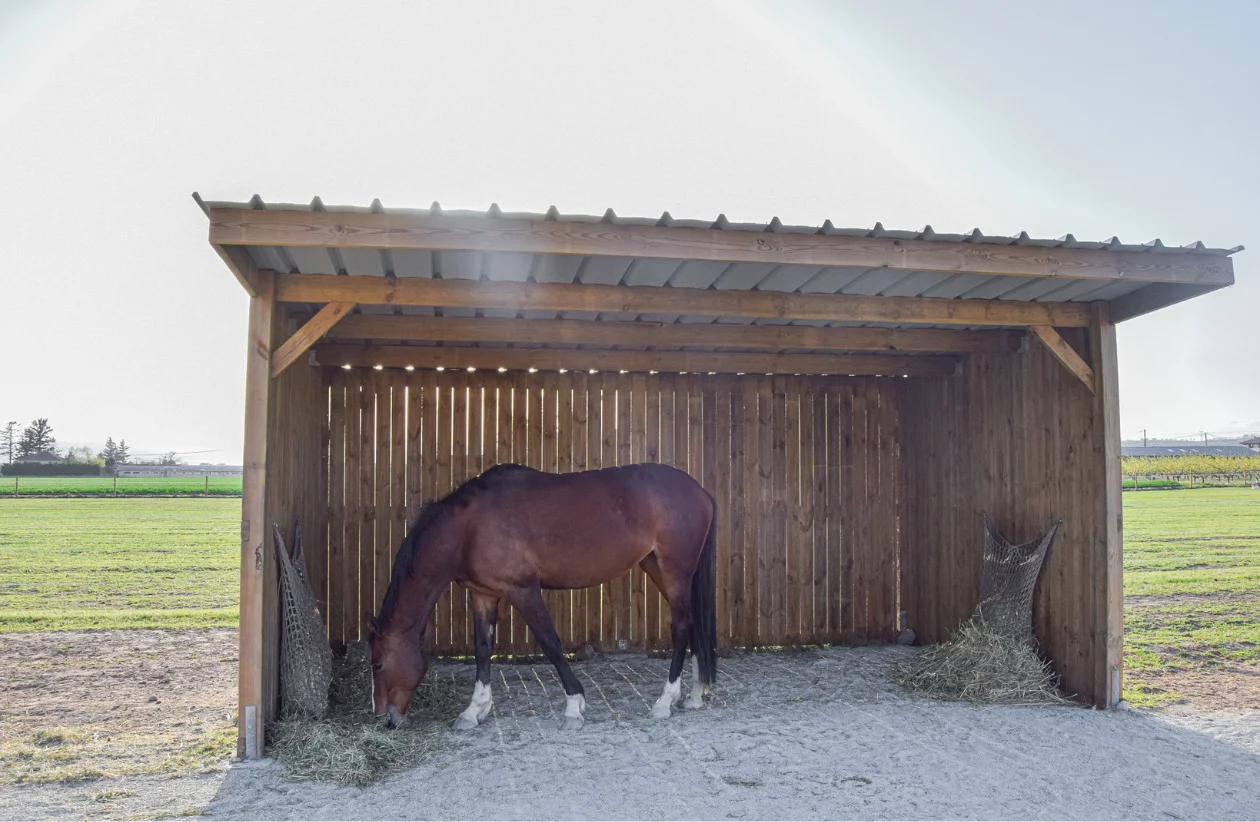 Weidehütte Classic