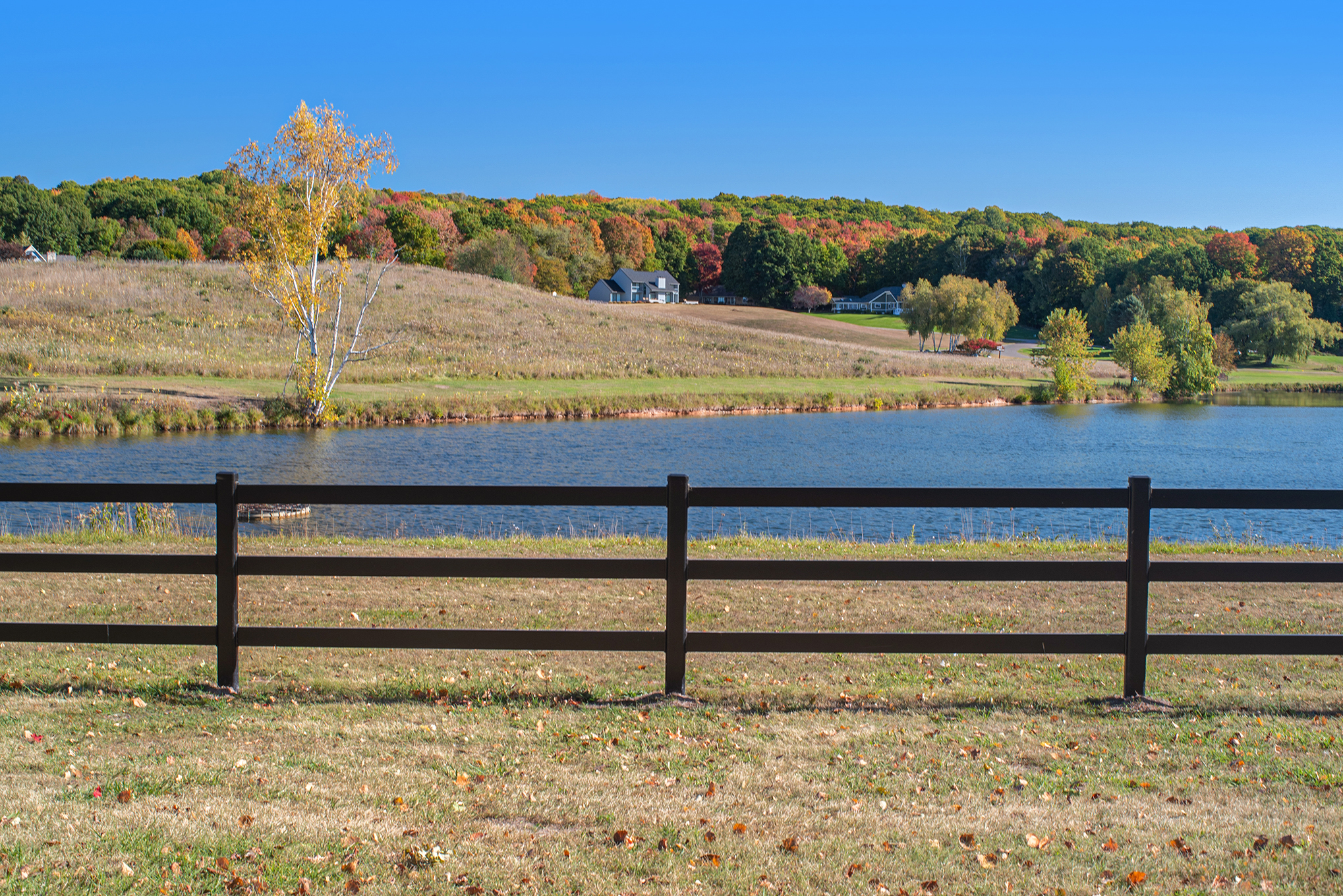 Denverzaun schwarz 3-Riegel: Der Allrounder für die Pferdehaltung